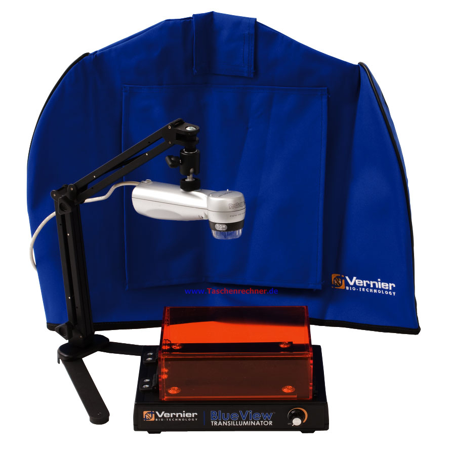 Durchlichteinheit Blau